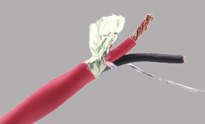 EP-A301.jpg